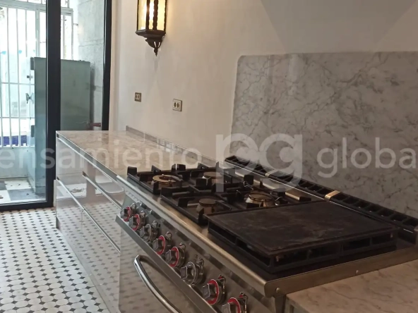 detalle fogones en la cocina con acceso al jardín
