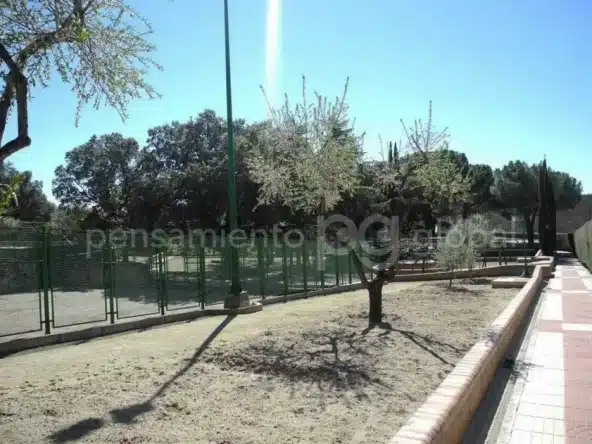Jardin en chalet en los Arroyos