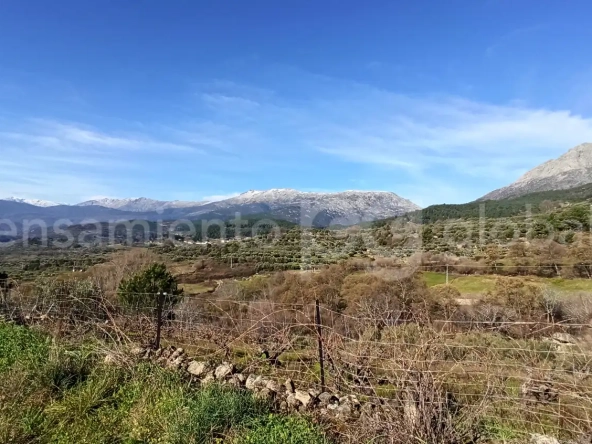 Finca Rustica San Esteban - paisaje