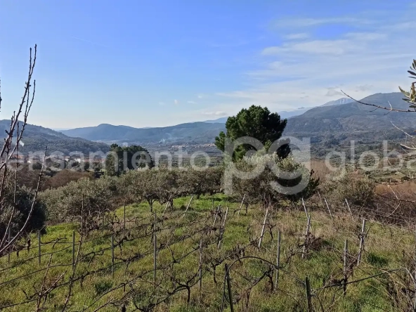 Finca Rustica San Esteban - vistas